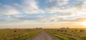 Establecimiento «Las Acacias» – 198 Hectáreas San Antonio de Areco